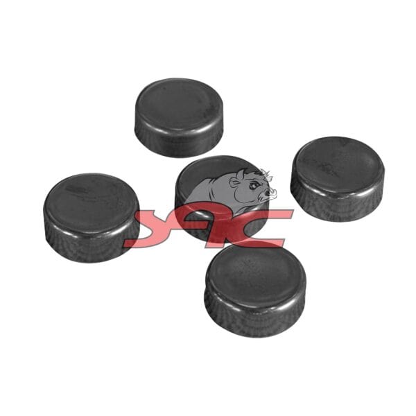 Caliper Repiar Kit