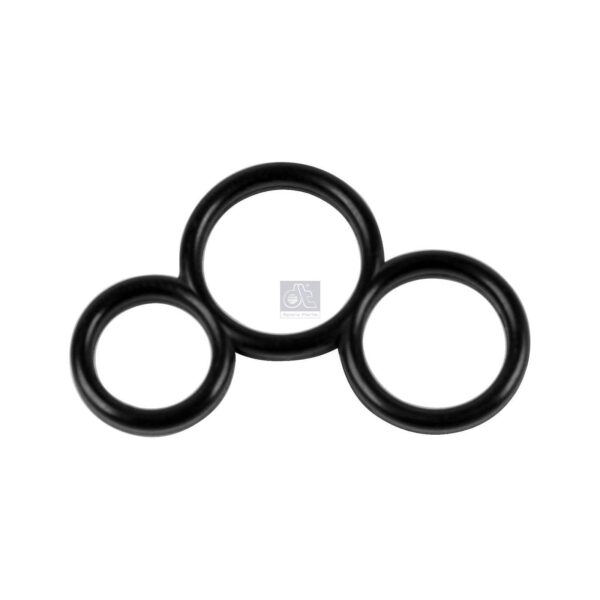 Fuel Distribution Pipe Gasket