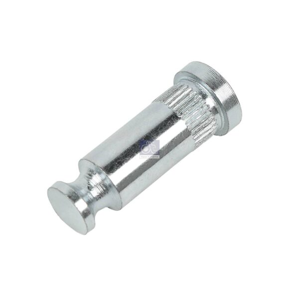 Brake Shoe Pin