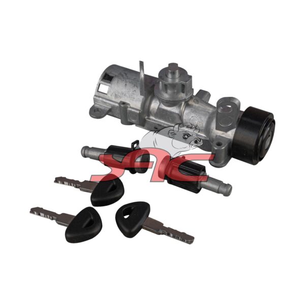 Steering Lock W/switch