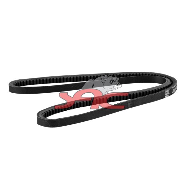 V-ribbed Belt