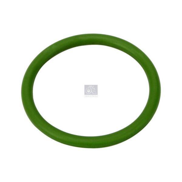 Oil Pump Pick-up O-ring