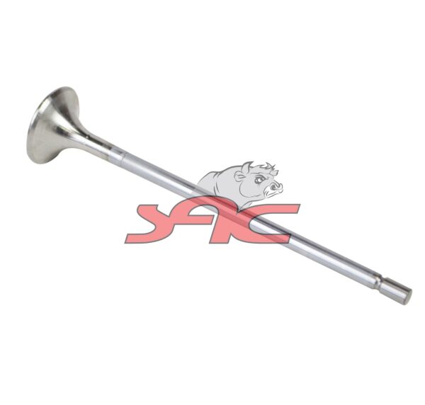 C/head Exhaust Valve