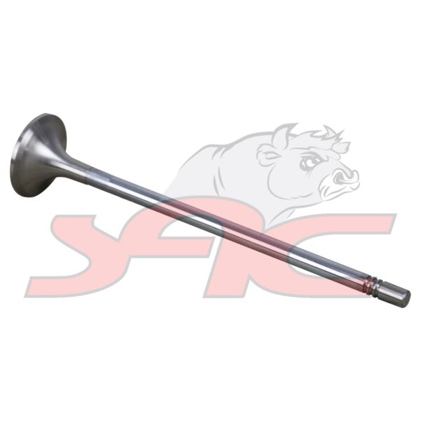 C/head Exhaust Valve