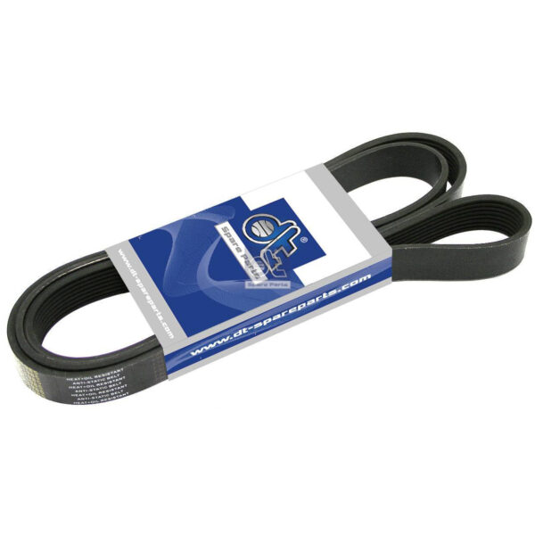 Alternator Belt
