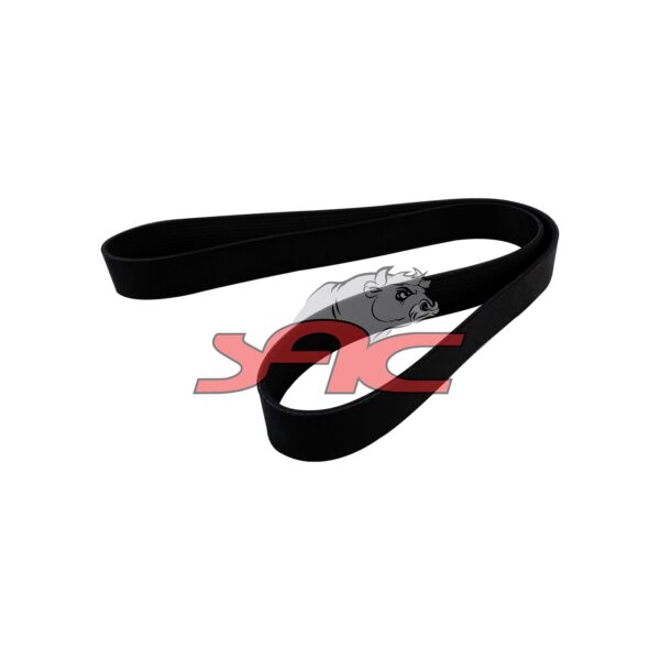 Alternator Belt