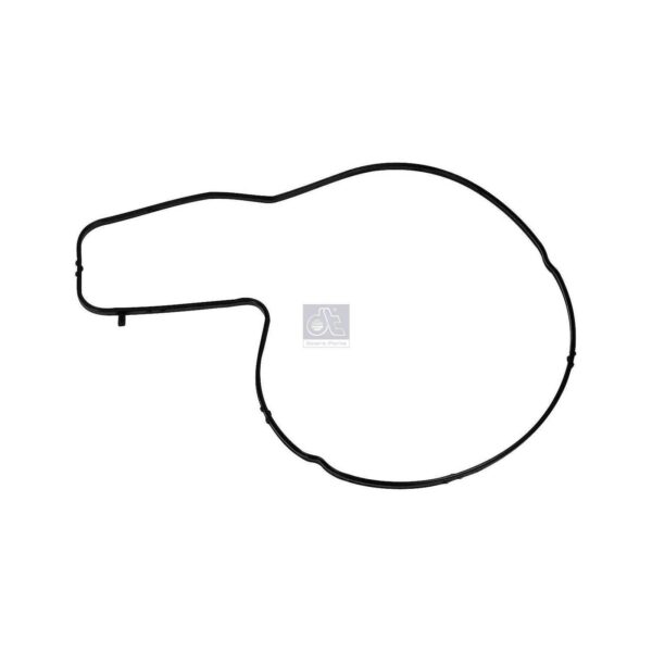 Water Pump Gasket