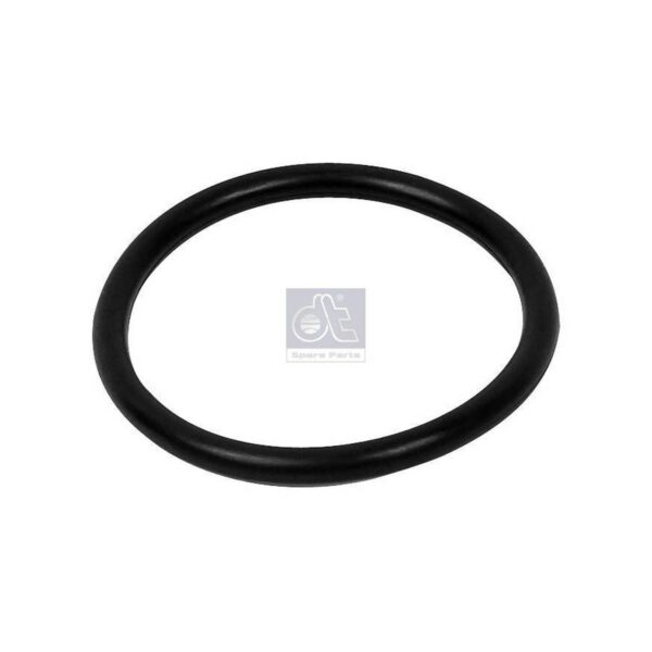 Water Pump O-ring