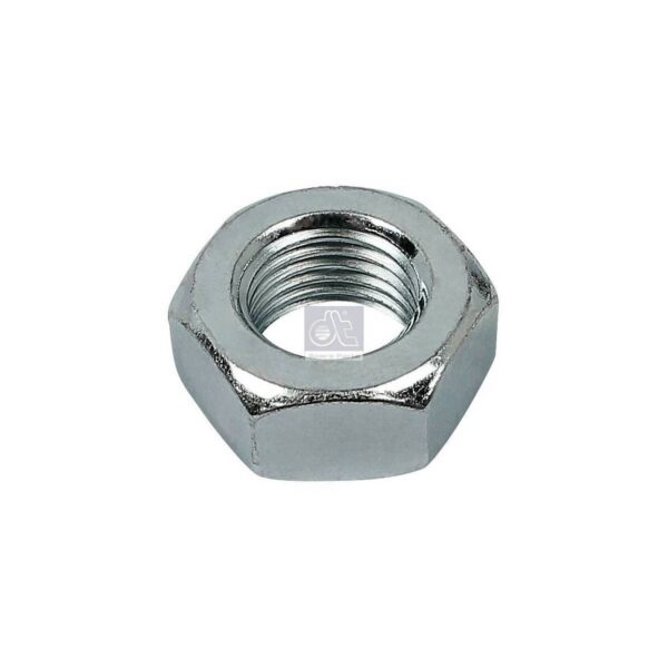 Hex Nut
