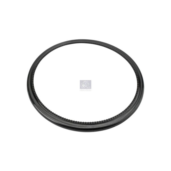 Rear Hub Seal Ring