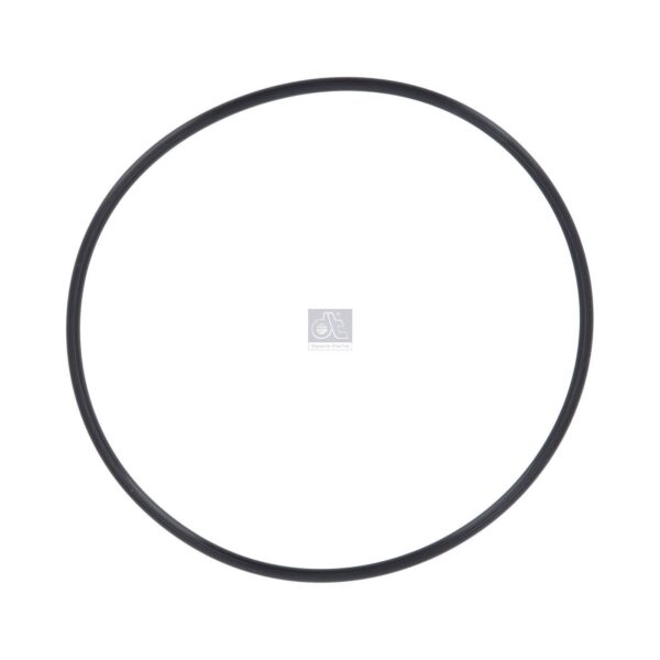 Liner O-ring