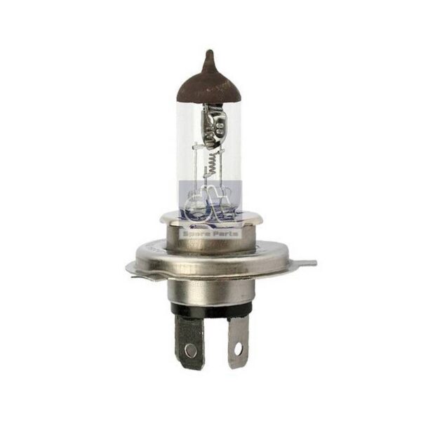 Headlight Globe