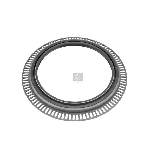 Rear Hub Oil Seal