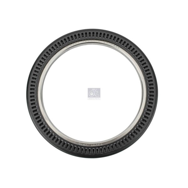 Rear Hub Radial Shaft Seal