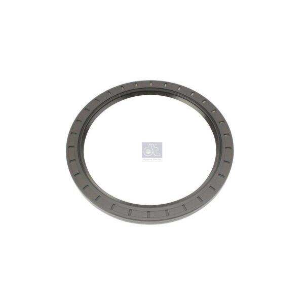 Rear Hub Oil Seal