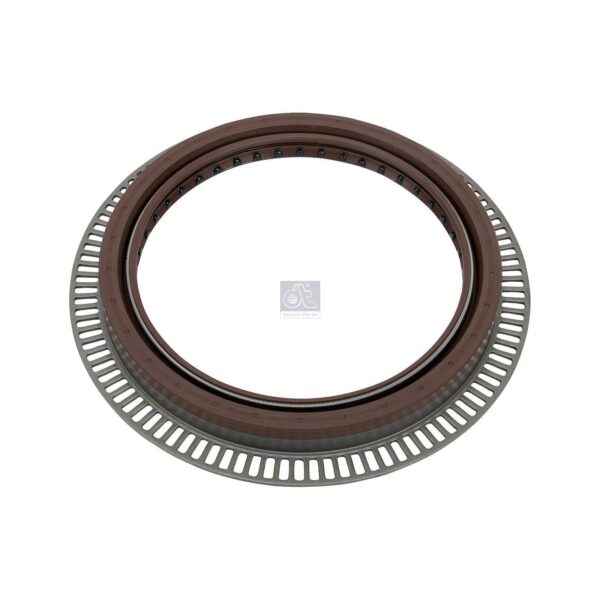 Rear Hub Seal Ring