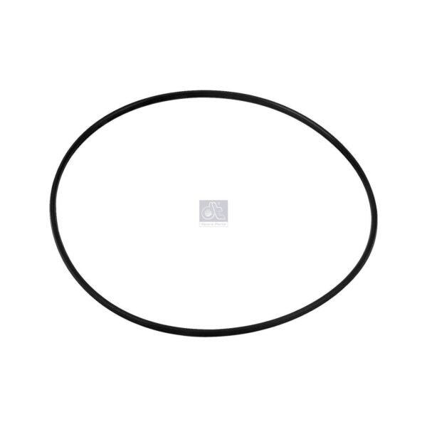 Liner O-ring