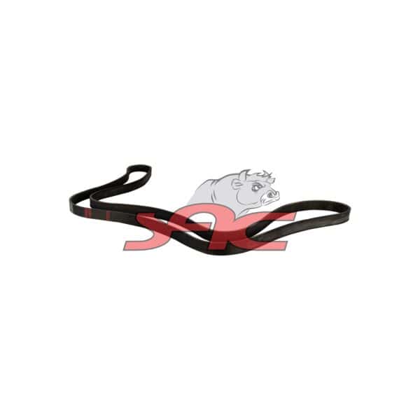 Alternator Belt