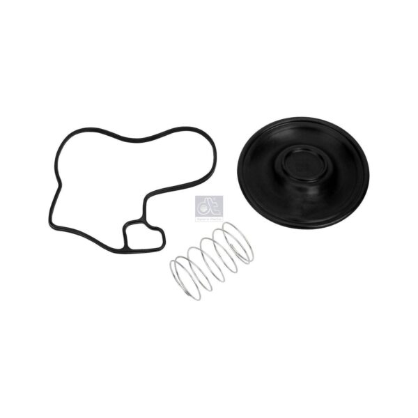 Crankcase Diaphragm Kit