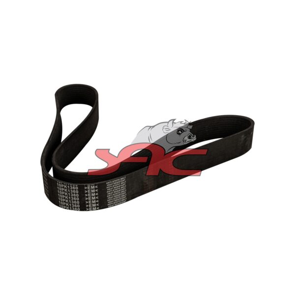 V-ribbed Belt