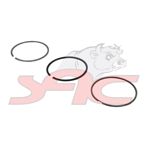 Piston Ring Kit