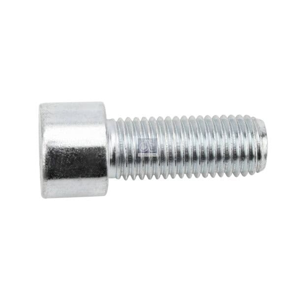 R/brake Cylinder Screw