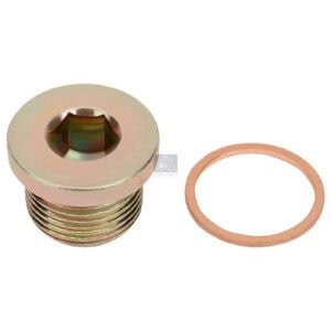Crankcase Drain Plug