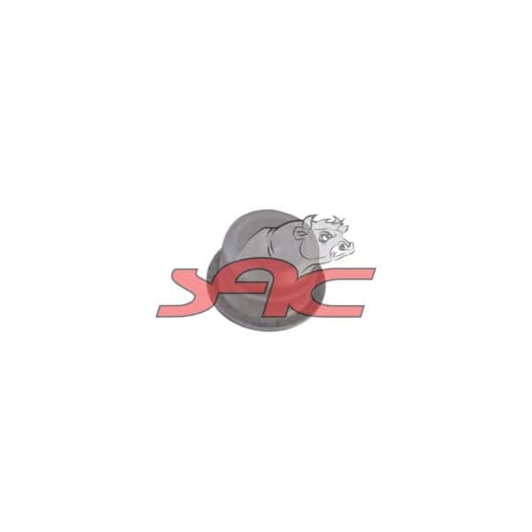 Injector Nozzle Dust Cap