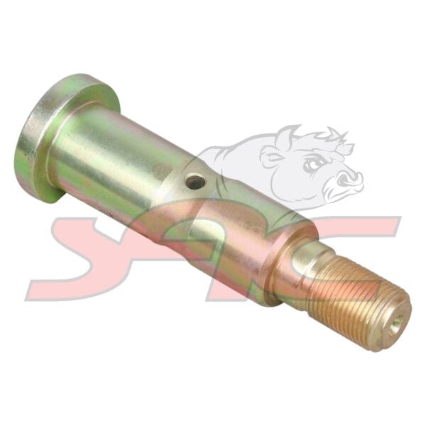 Rear Shackle Pin Rear