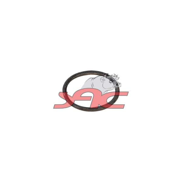 O-ring