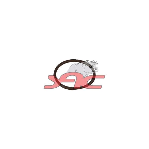 Injector O-ring