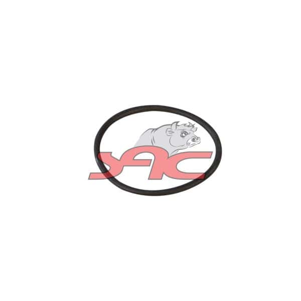 O-ring