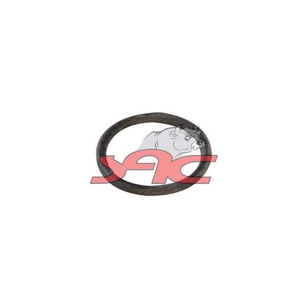 Injector O-ring