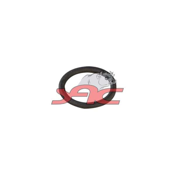 O-ring