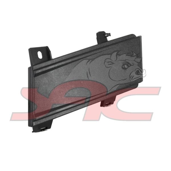 Bumper Fog Light Cover R/h