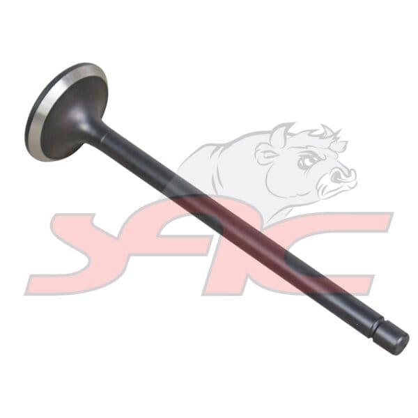 Exhaust Valve