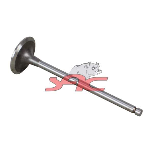 C/head Intake Valve