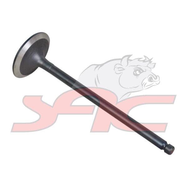 C/head Intake Valve