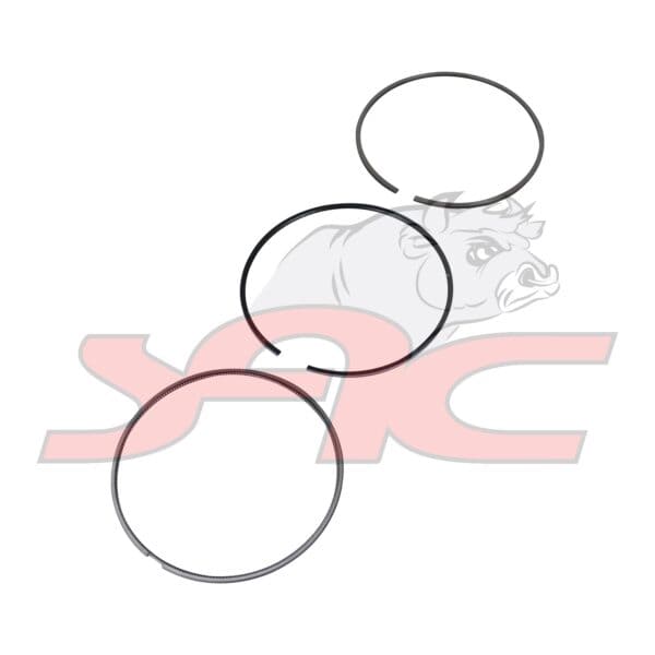 Piston Rings