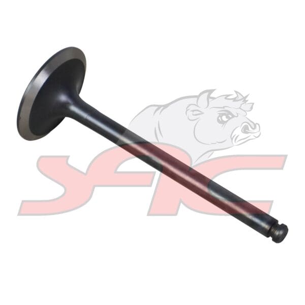 C/head Intake Valve