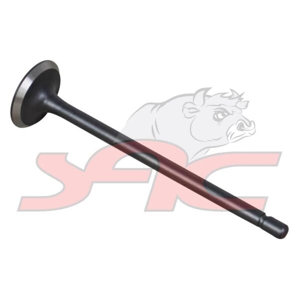 C/head Exhaust Valve