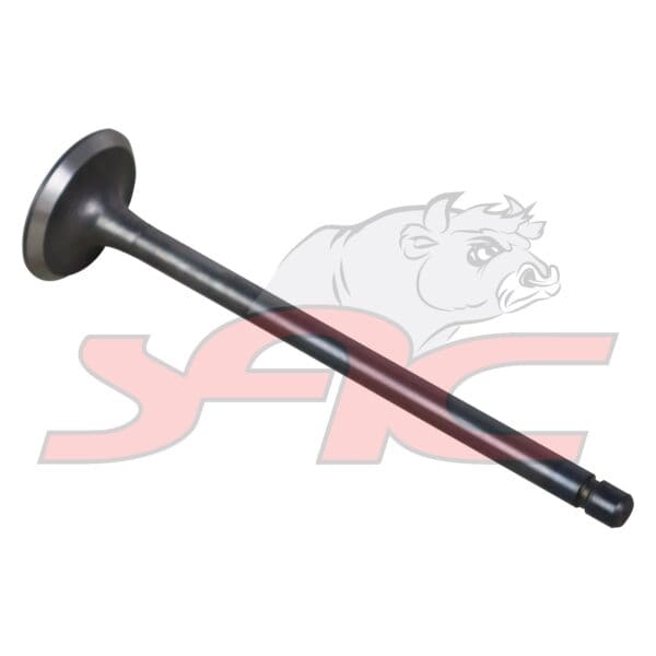 C/head Intake Valve