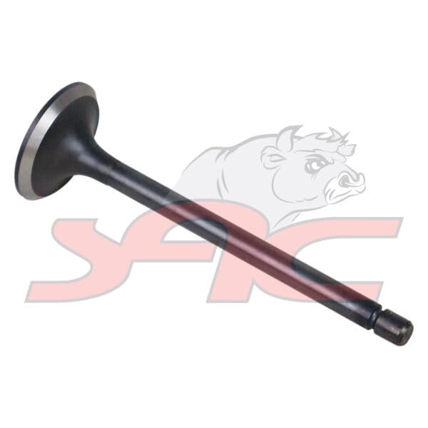 C/head Intake Valve