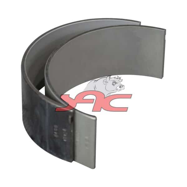 Bigendbearing