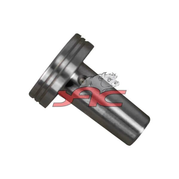 Common Rail Valve