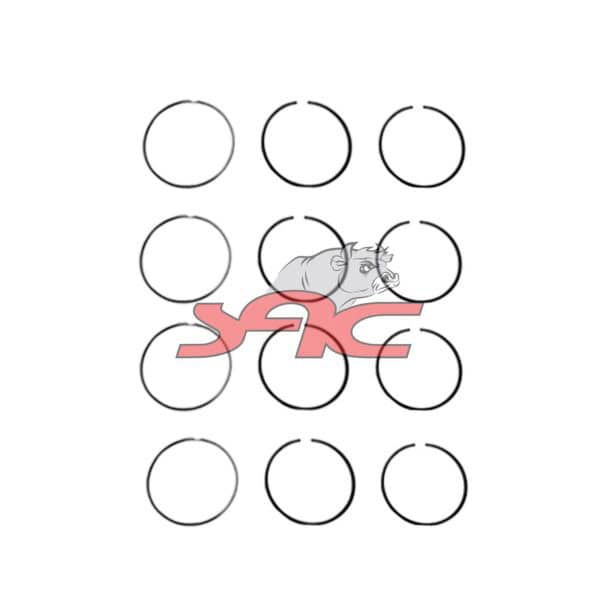 Piston Ring Kit