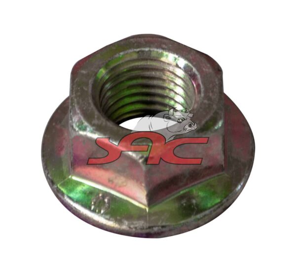 DAF XF95 FRONT LEAF SPRING NUT