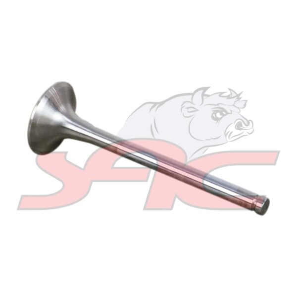 FAW J5N 33.340 WP10 EXHAUST VALVE