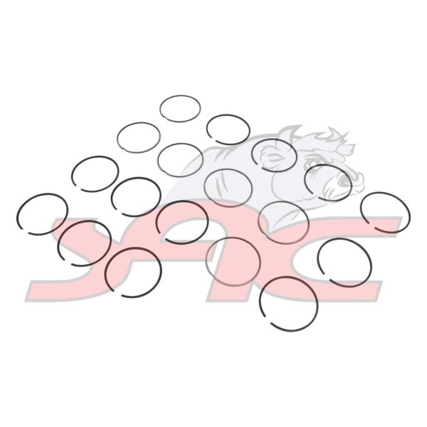 FAW 15.180 CA6DF2-18 PISTON RING KIT