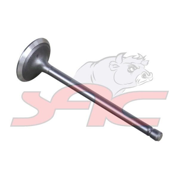 TOYOTA 1GD C/HEAD INTAKE VALVE